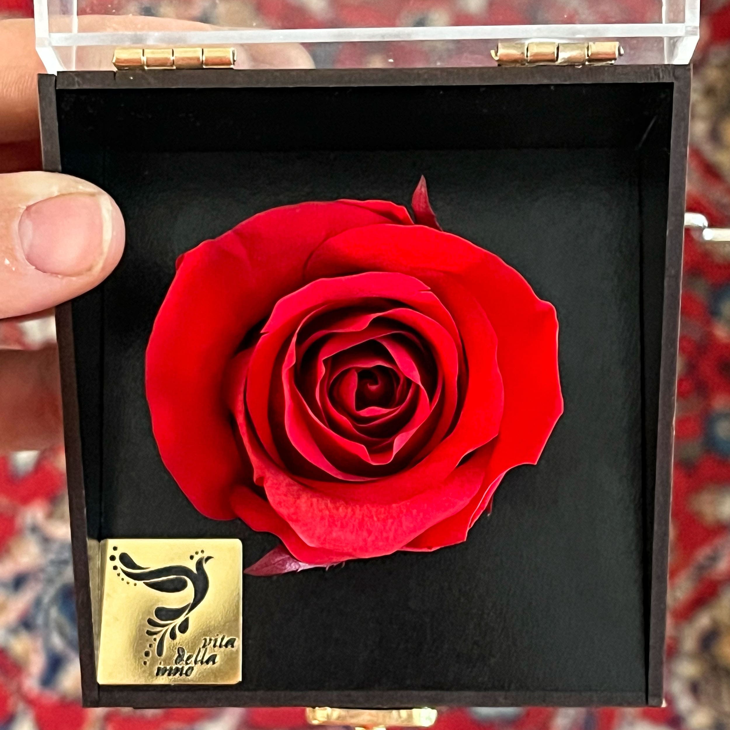 تصویر کوچک 2