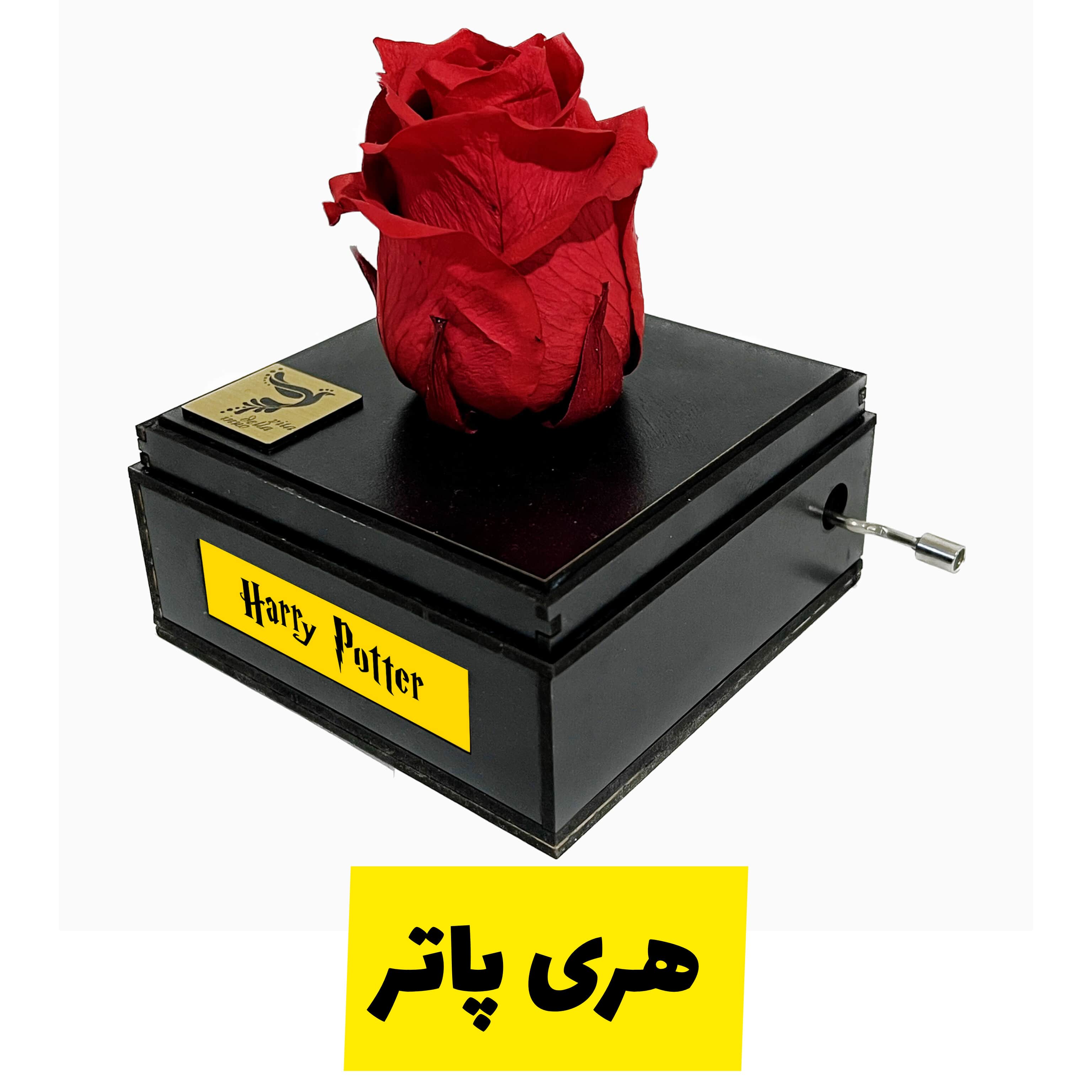 گل رز جاودان موزیکال ملودی هری پاتر برند اینو دلا ویتا دارای ساک دستی