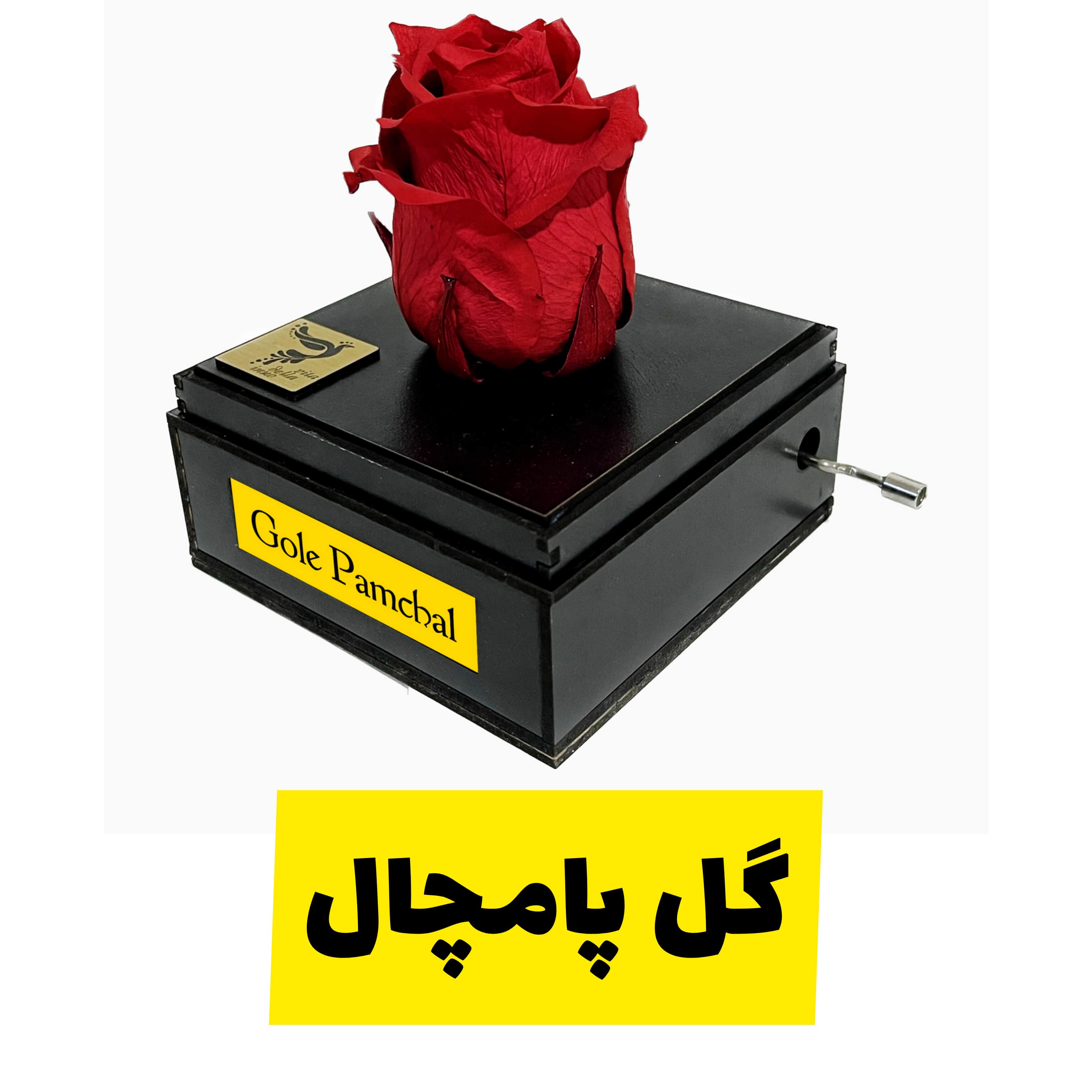 گل رز جاودان موزیکال ملودی گل پامچال دارای ساک دستی برند اینو دلا ویتا