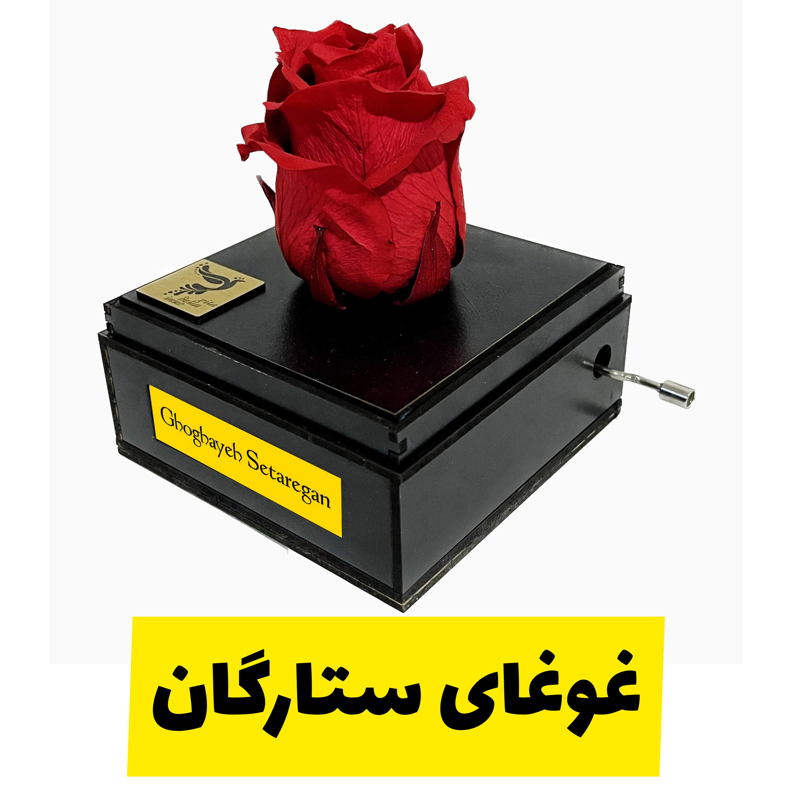 گل رز جاودان موزیکال با ملودی غوغای ستارگان برند اینو دلا ویتا