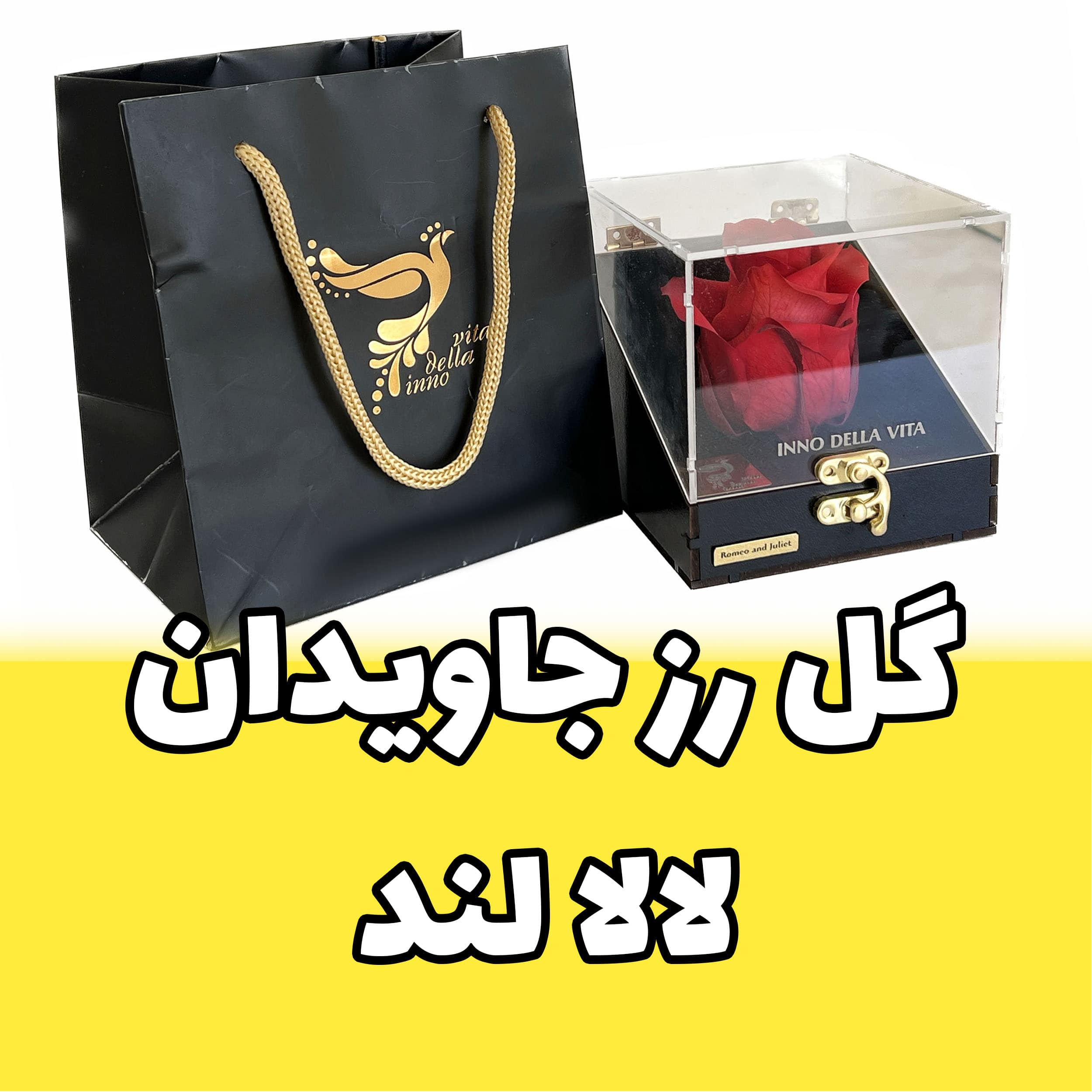 گل رز جاویدان اینو دلا ویتا مدل دستی با ملودی لالا لند همراه با ۷ سال ماندگاری