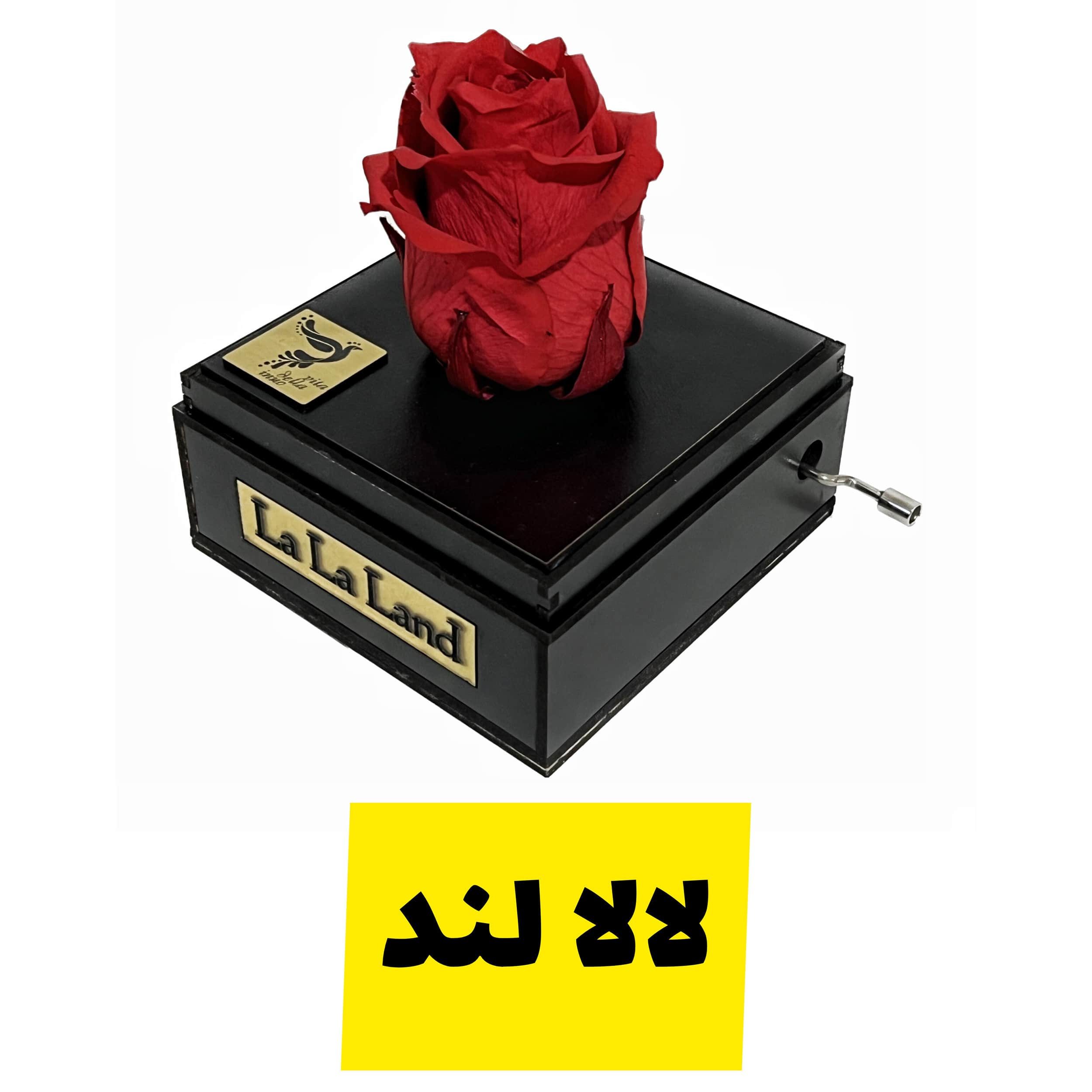 جعبه موزیکال لالا لند با گل رز جاودان با ملودی عاشقانه لالالند با ماندگاری بیش از ۵ سال