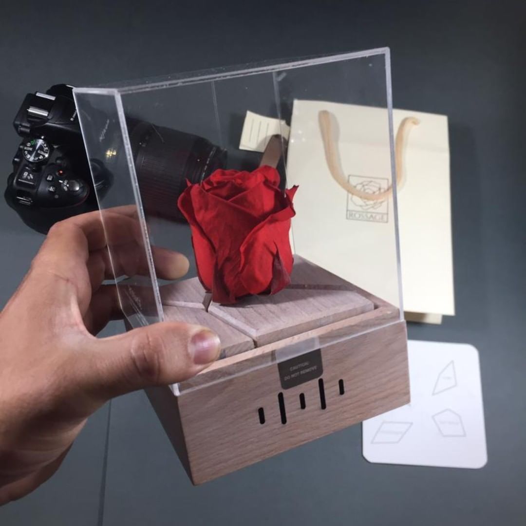 گل رز جاودان موزیکال ملودی لاو استوری برند rossage مدل هندلی