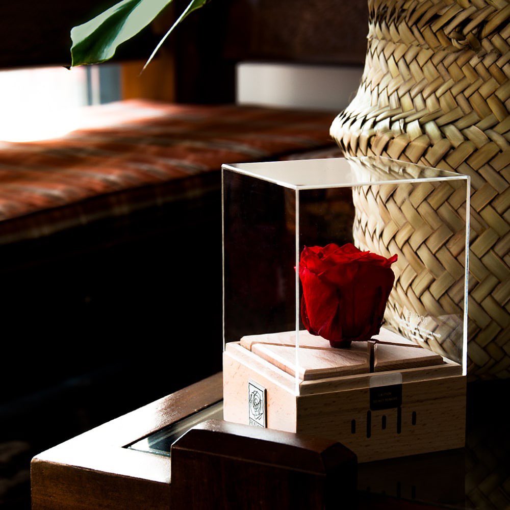 تصویر کوچک 5