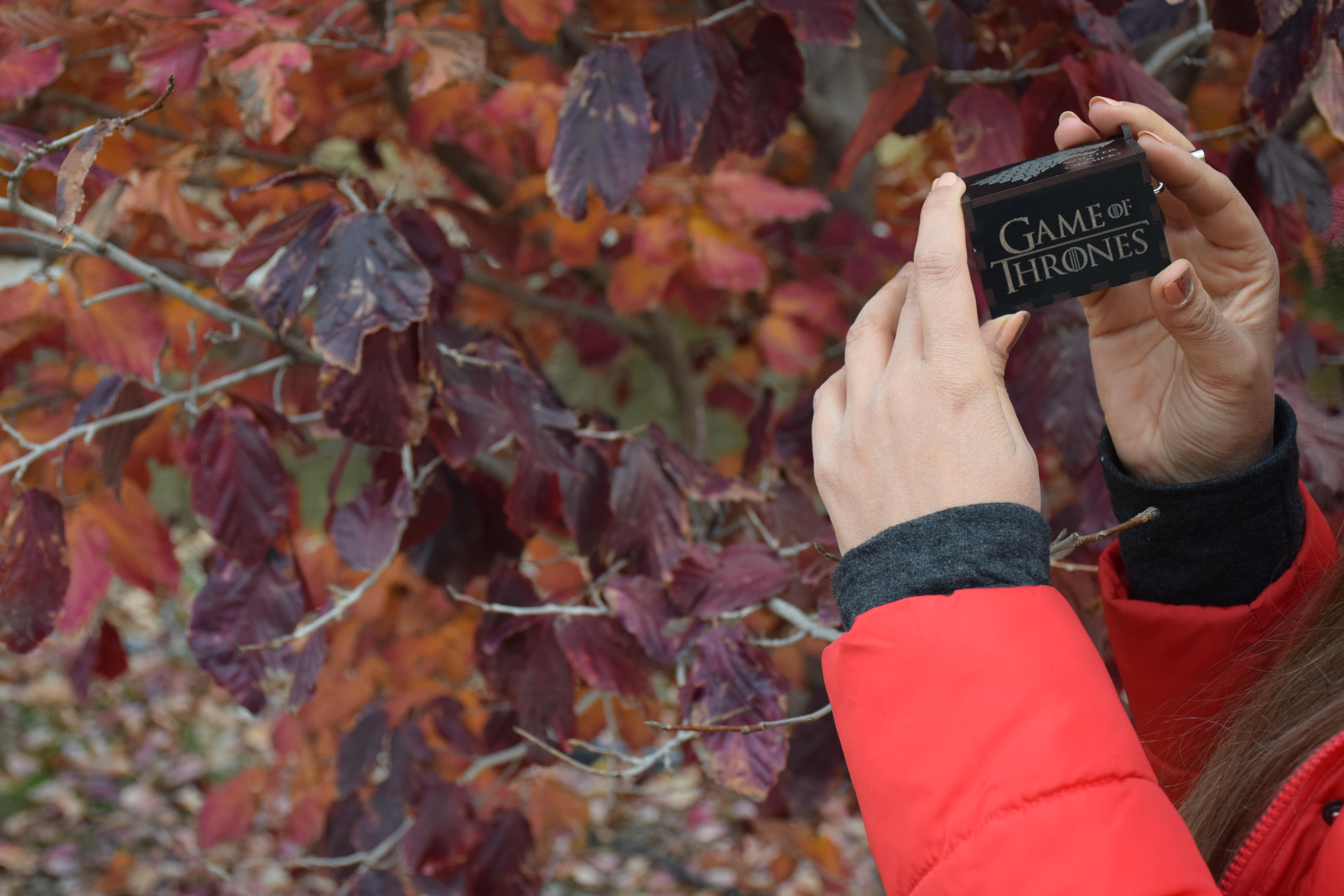 تصویر کوچک 4