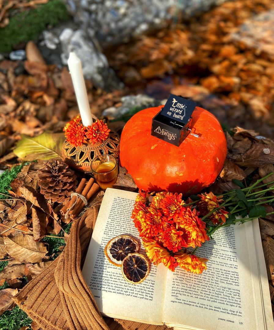 تصویر کوچک 5