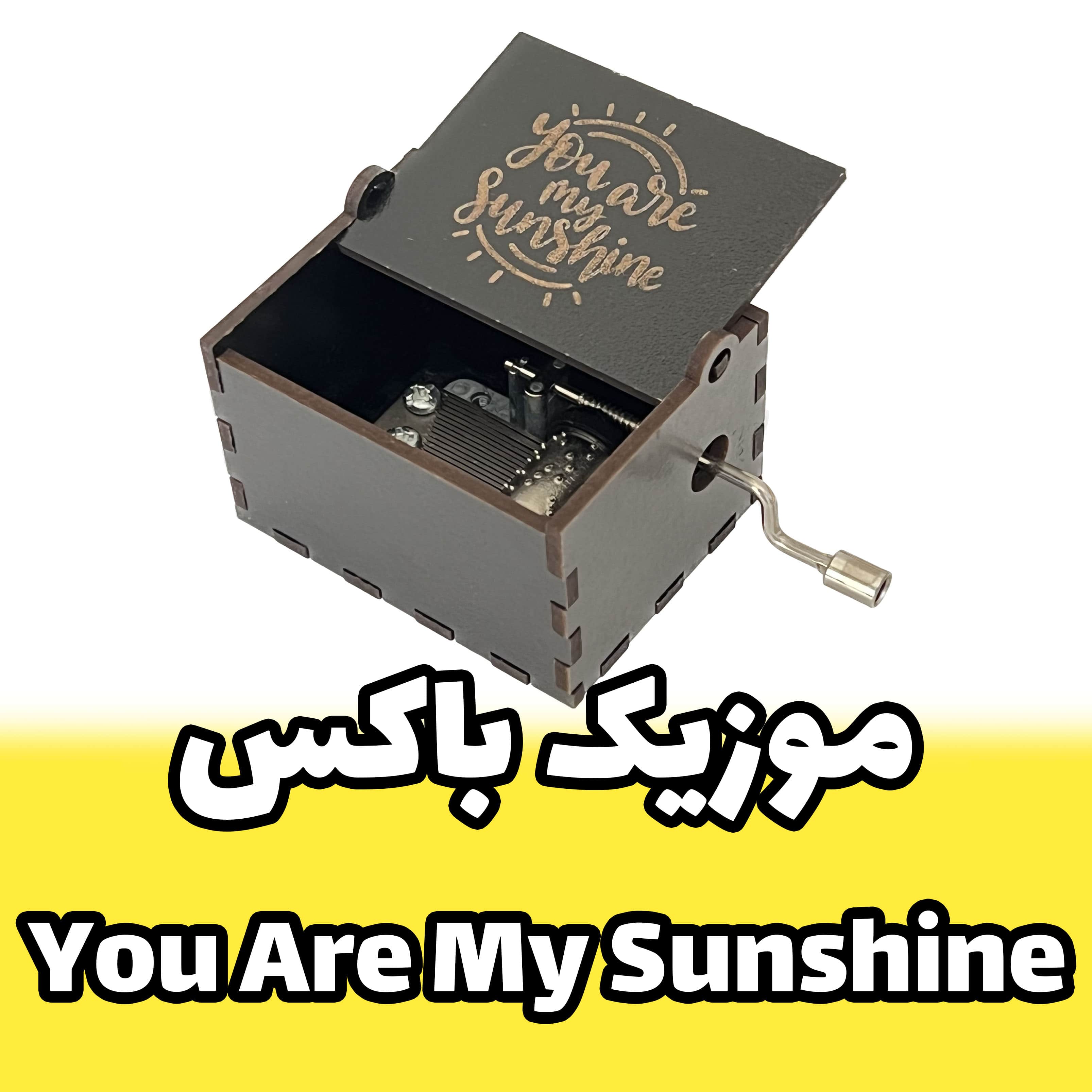 موزیک باکس You Are My Sunshine  برند اینو دلا ویتا مدل ARCA