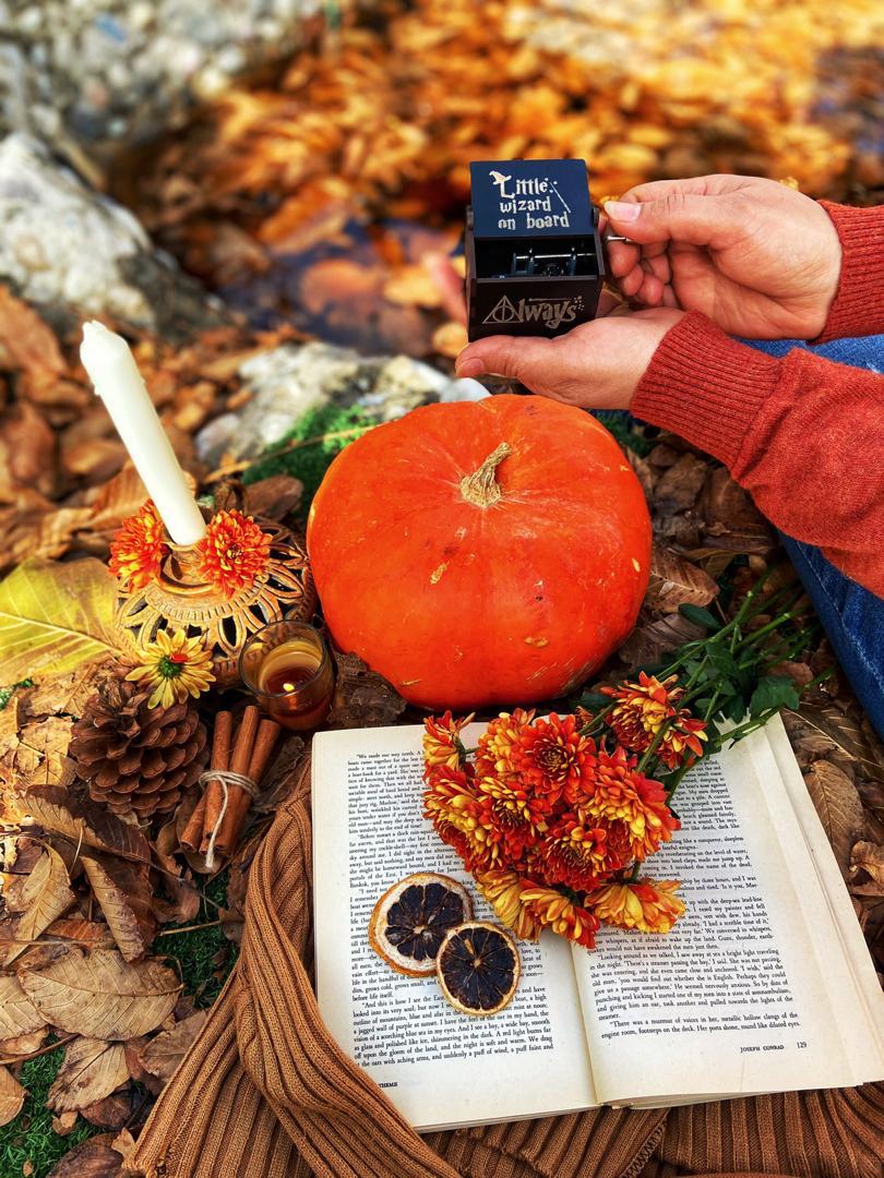 تصویر کوچک 3